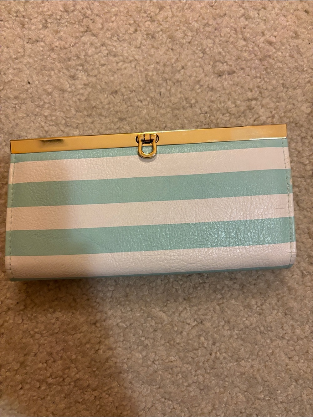 Striped light turquoise& White striped Women's Wallet - Gold Tone Clasp
